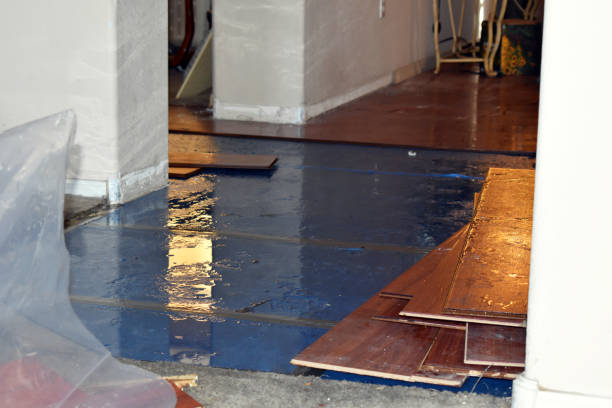 Professional Flood Damage Repair technician working in Colon, MI